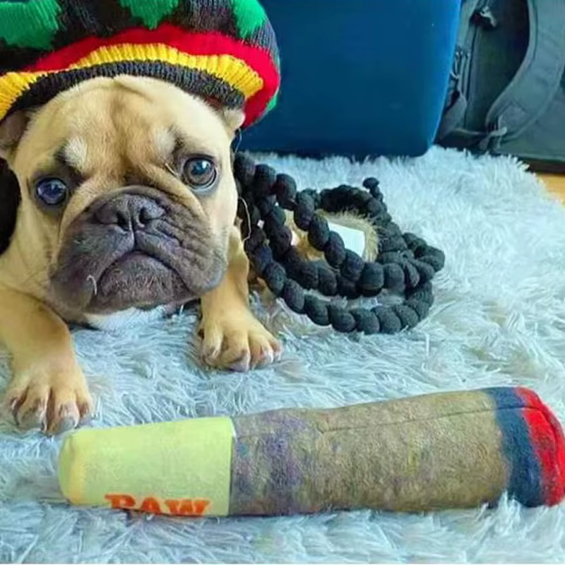 Juguetes para Perros Divertidos Interactivos Juguetes de Perro con Diseño de Puro, Sonido y Textura, Perfecto para Pequeños y Medianos Canes — imagen 4