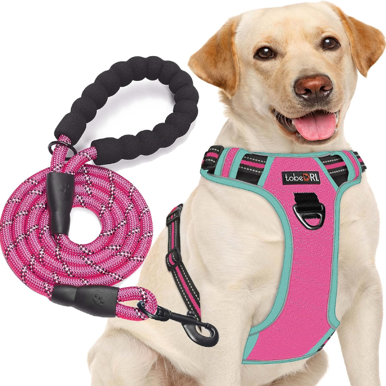 No Pull Dog Harness Adjustable Reflective Oxford Easy Control Medium Large Dog Harness With A Free Heavy Duty 5ft Dog Leash, Blue, M — image 1
