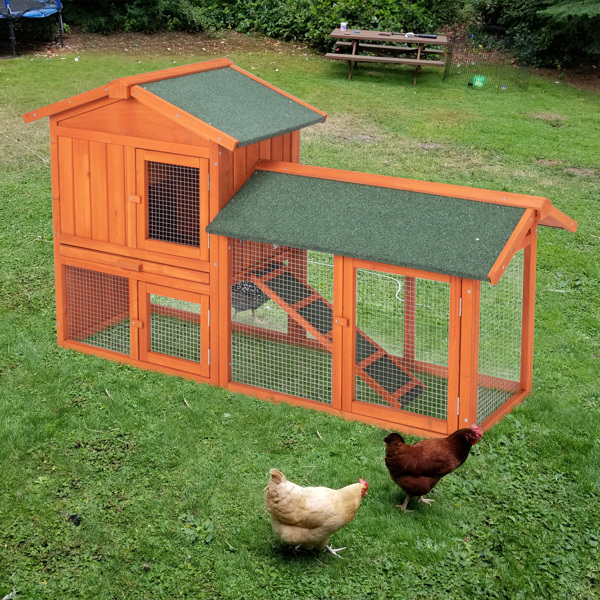 Casa de Pollos en Madera para Conejos y Pájaros - Galpón de Aves — imagen 12
