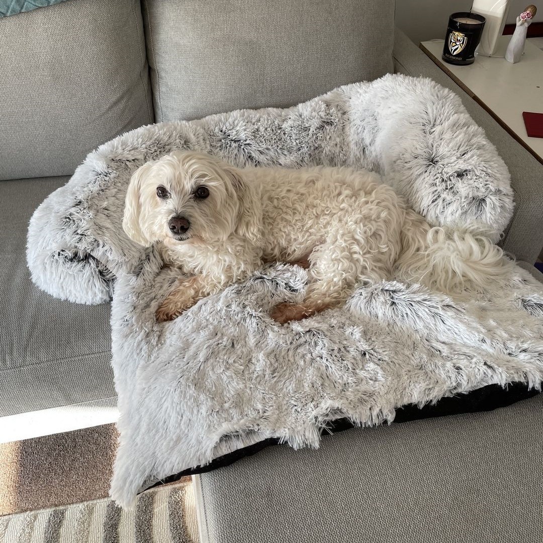 Cama para Perros — imagen 8