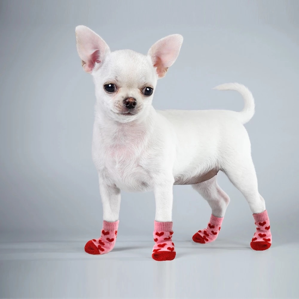 Set de 4 Piezas de Zapatos para Perro, Lindos Calcetines Cálidos para Perro, Calcetines Tejidos Antideslizantes de Invierno con Estampado de Caricaturas, Botas para Perros y Gatos, Suministros Cálidos para Mascotas — imagen 1
