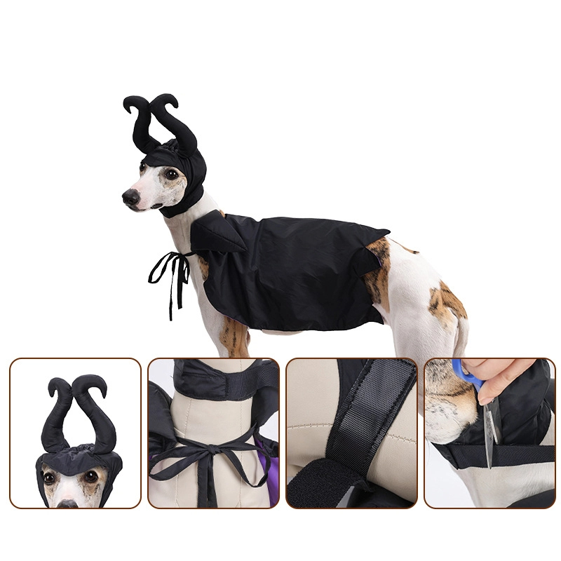 Halloween Dog Cloak with Hat Sleeping Curse Female Cloak Cat Hat Pet Clothing — image 2