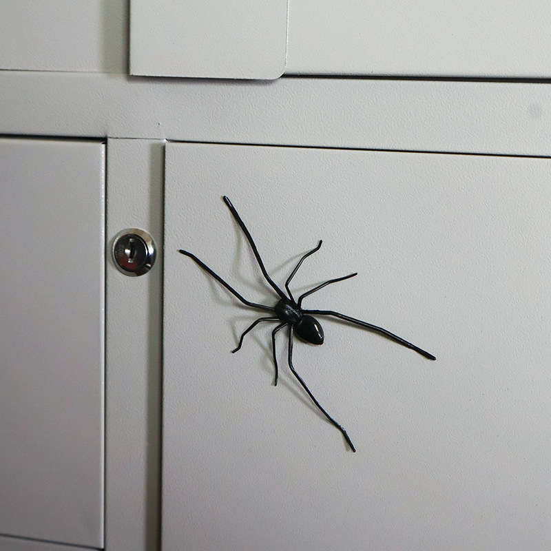 Plastic Spider as Decoration - Novelty Ornament — image 4