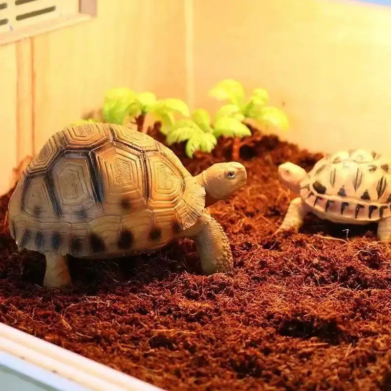 Cama para Tortugas y Reptiles de Mascotas