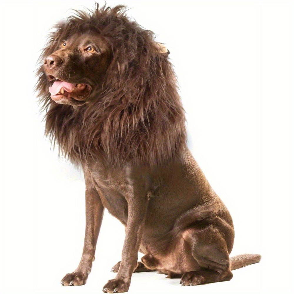 Fun Lion Head Mask with Ears for Pets - Animal Transformation Costume — image 8