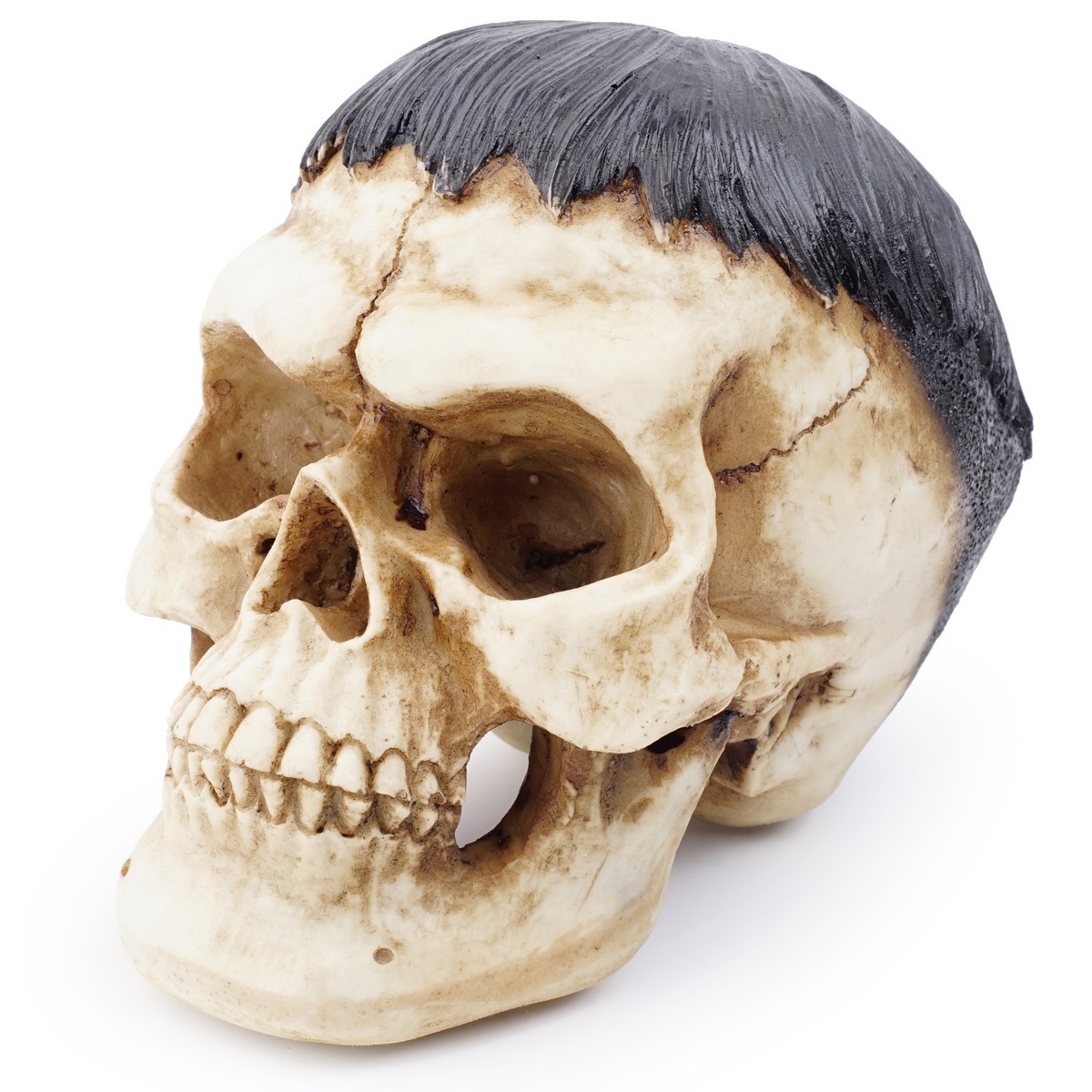 Resin skull animal skull ornament — imagen 4