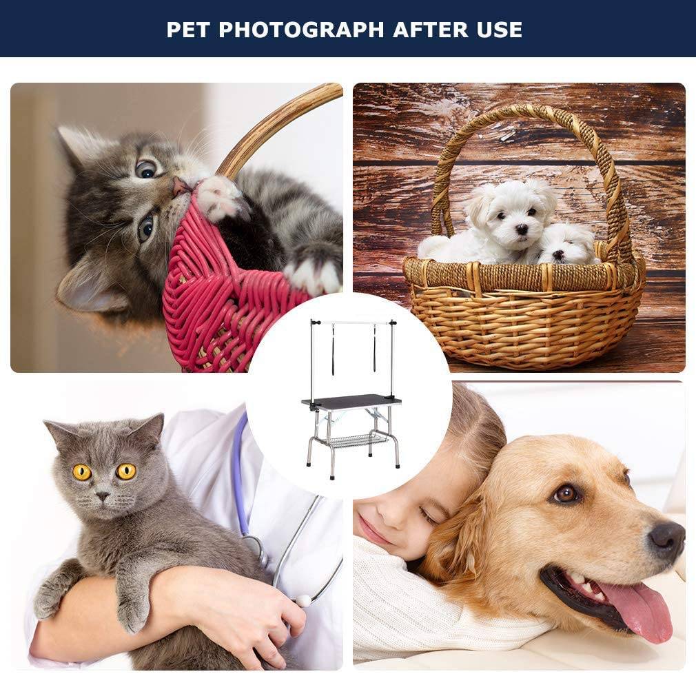 Mesa de Aseo Portátil para Perros Profesional de Alta Calidad Resistente — imagen 15