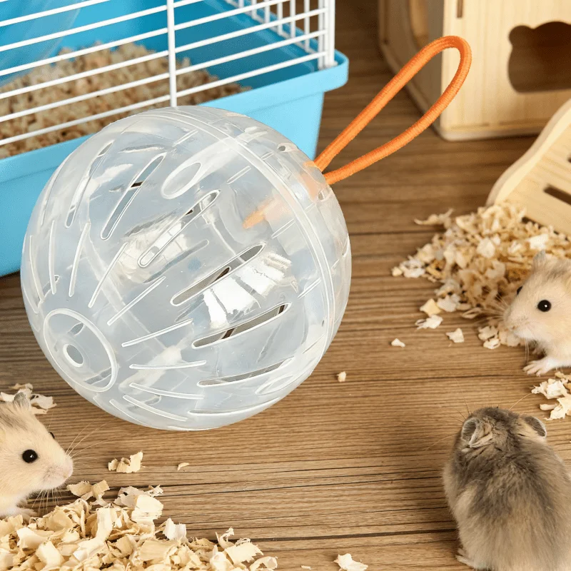 Hamster Crystal Sports Wheel - Breathable Safe Battery Free with Hanging Rope for Small Pets Under 4.72in Cage Play — image 1