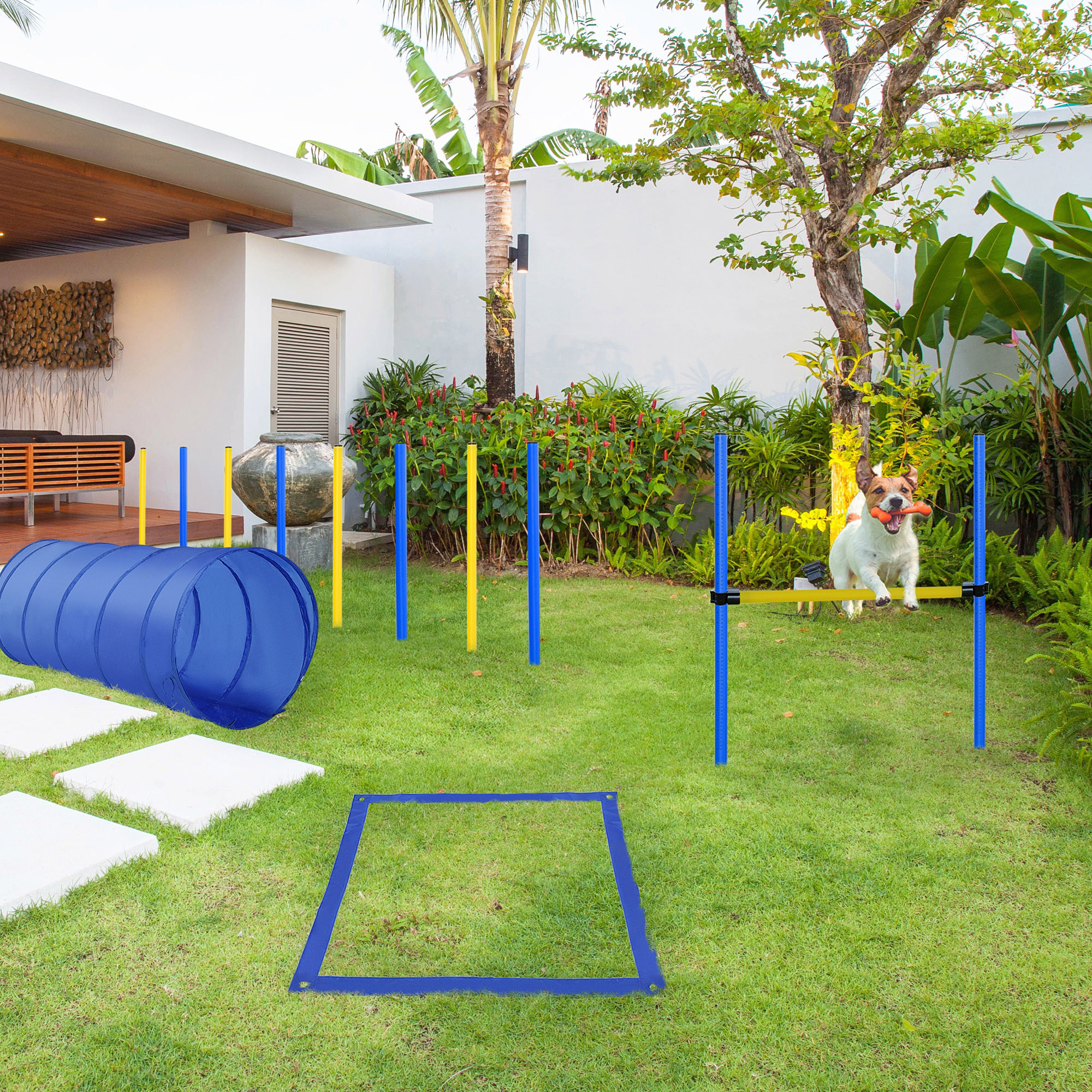 Kit de Entrenamiento de Agilidad para Perros en Jardín - Curso de Obstáculos Competitivos — imagen 6