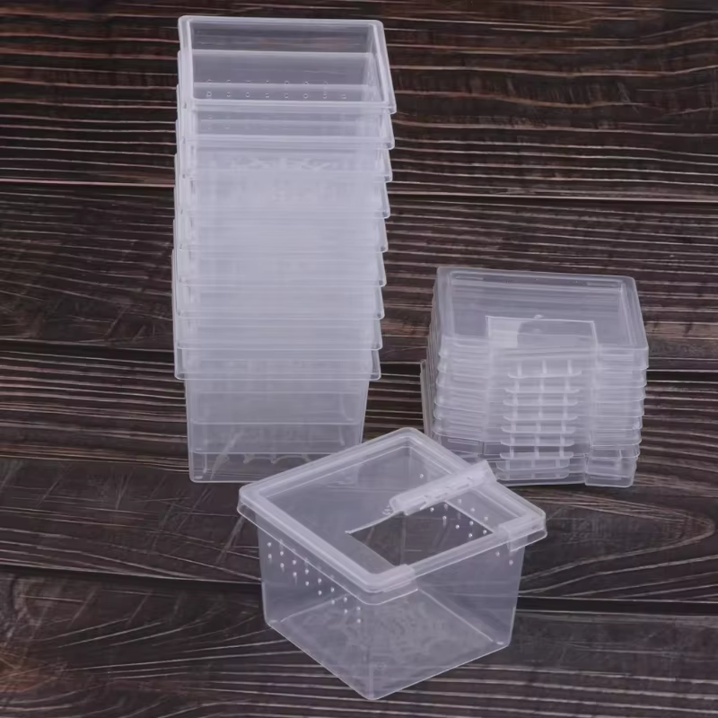 Transparent Portable Reptile Insect Breeding Box Small Pet Observation Container Spider Lizard Keeping Container — image 5