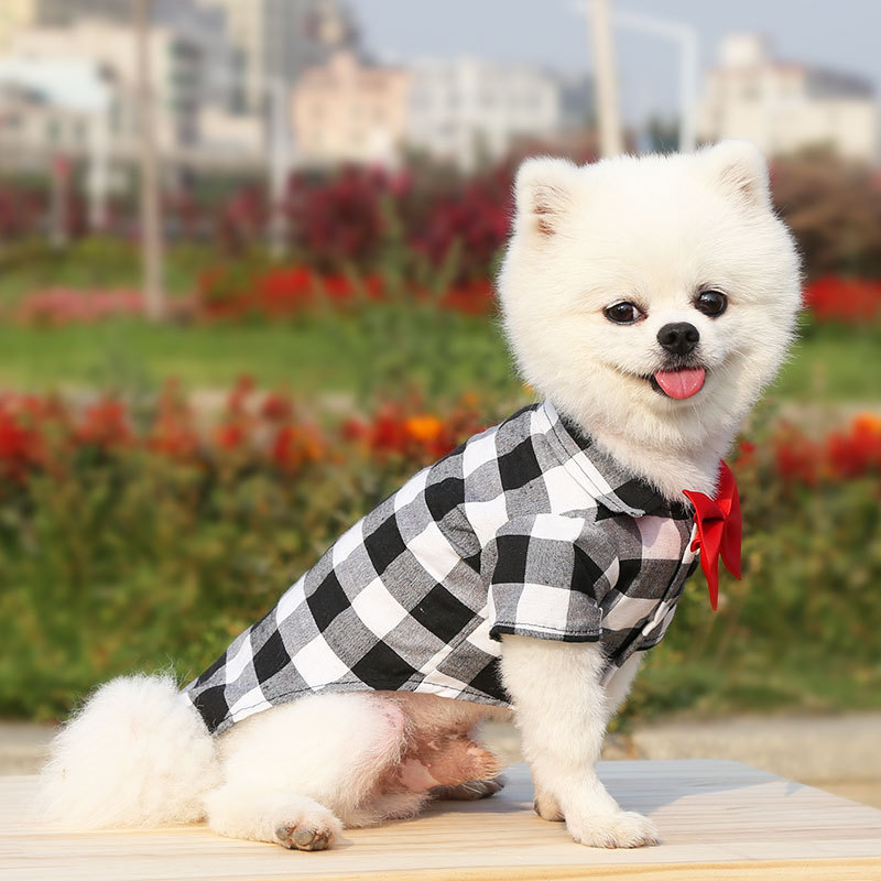Spring Summer Autumn Dog Shirts Suits Wedding Dresses Teddy Bears Pets Cats Clothes Supplies — image 3