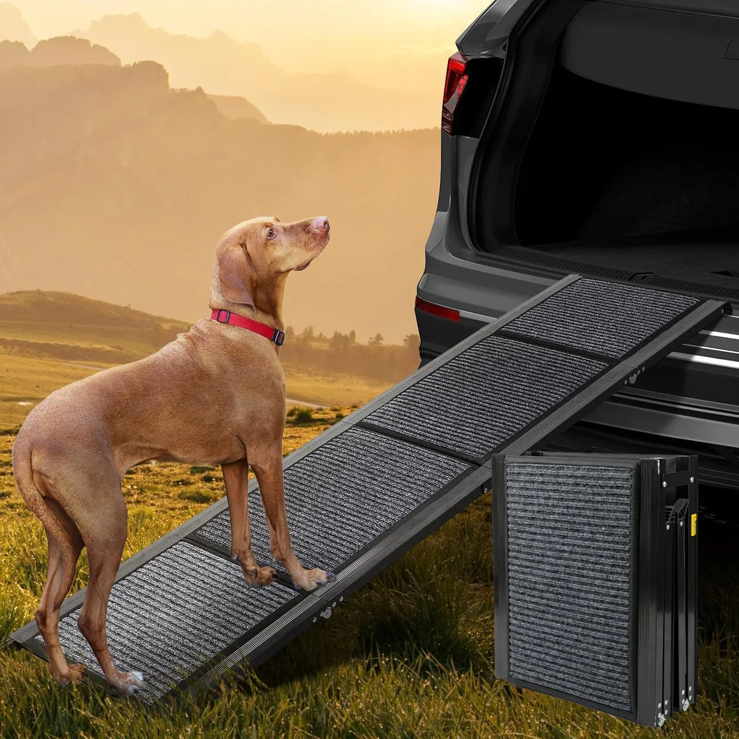 71" Long & 19" Wide Folding Dog Ramp for Car, SUV & Truck – Portable Pet Ramp with Non-Slip Surface, Extra Wide Steps — image 1