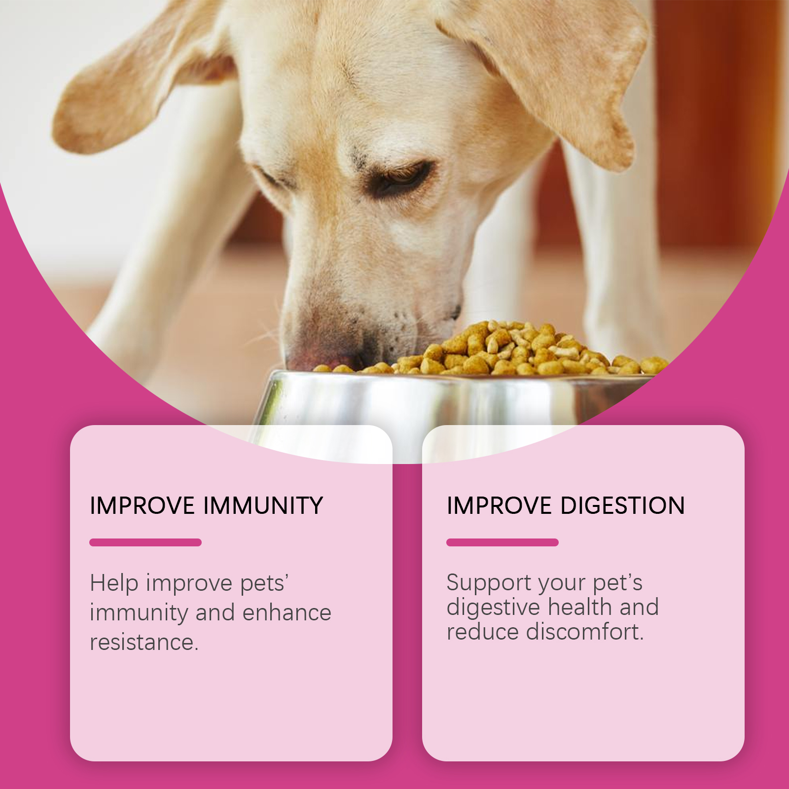 Dog Probiotic Tablets To Improve Intestinal Health, Balance Digestion And Absorption Of Pet Nutritional Supplements — image 6
