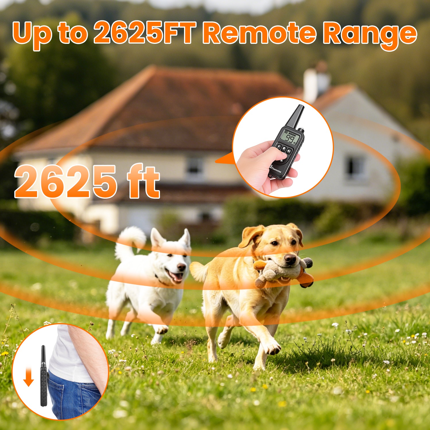 Collar de Adiestramiento para Perros con Control Remoto — imagen 5