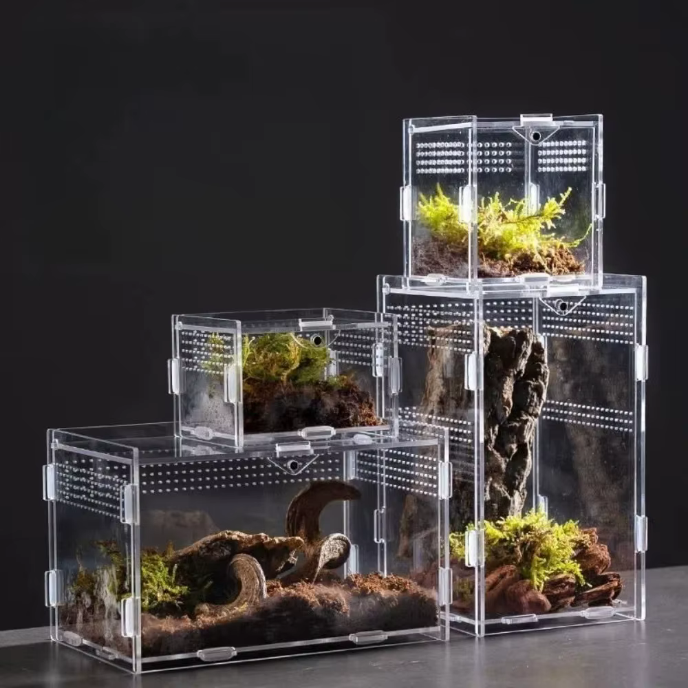 Caja de Acuario para Reptiles Anti-Evasión Claro para Arácnidos y Pequeños Animales, Diseño Moderno Transparente — imagen 1