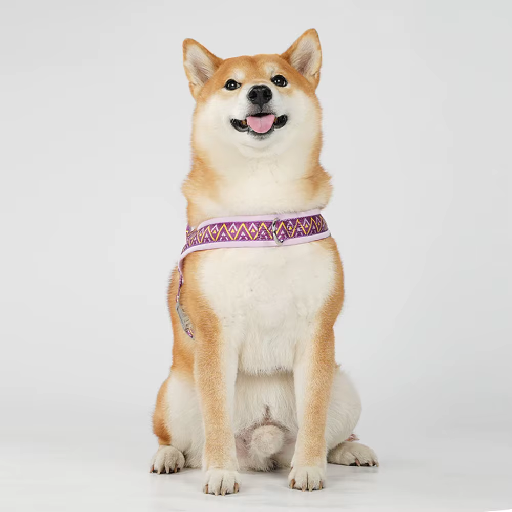 Traje de Trenza para Perros con Diseño Estampado, Suave y Ajustable sin Tirar con Manija para Todas las Razas de Mascotas — imagen 3