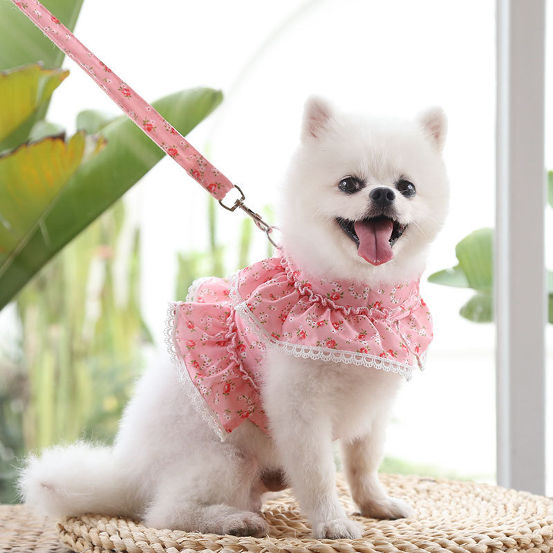 Dogs Cats Pets Clothes Chest Straps Traction Ropes Lace Teddy Bears Spring Summer Autumn Dog Rope Supplies — image 2