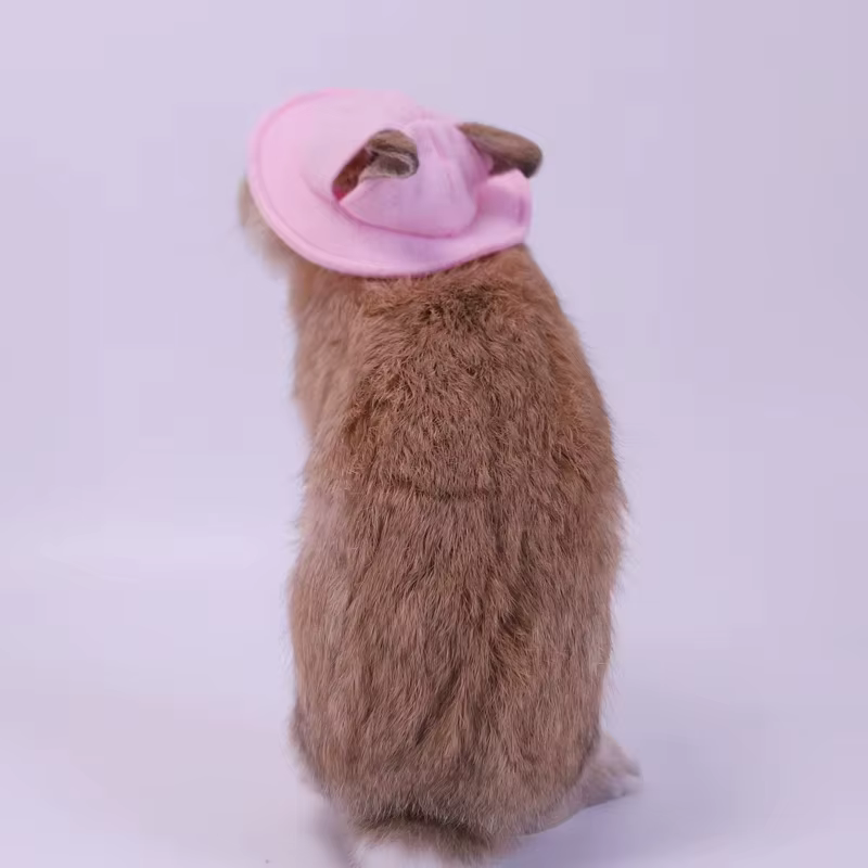 Sombrero de Comodidad para Pequeños Animales - Hamsters, Conejos, Ardillas, Roedores y Mascotas Pequeñas — imagen 3