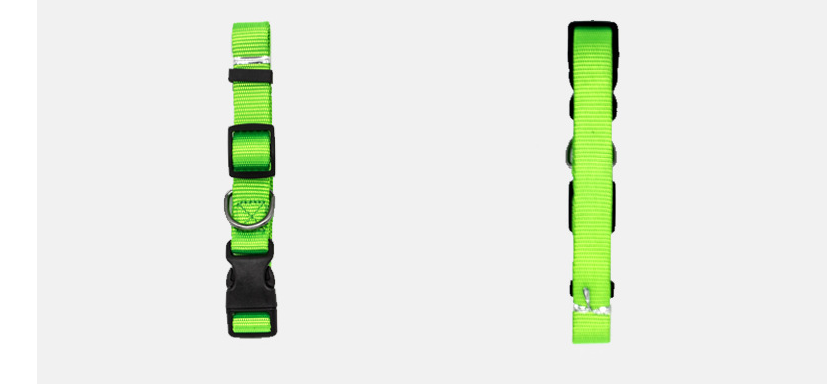 New Pet Collar — image 6