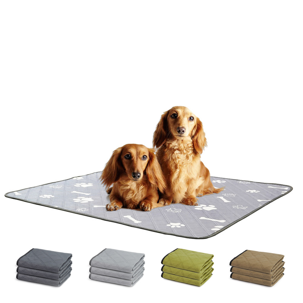 Diaperas para perros reutilizables y lavables pañales absorbentes sin resbalón impermeables pañal de entrenamiento no húmedo — imagen 1