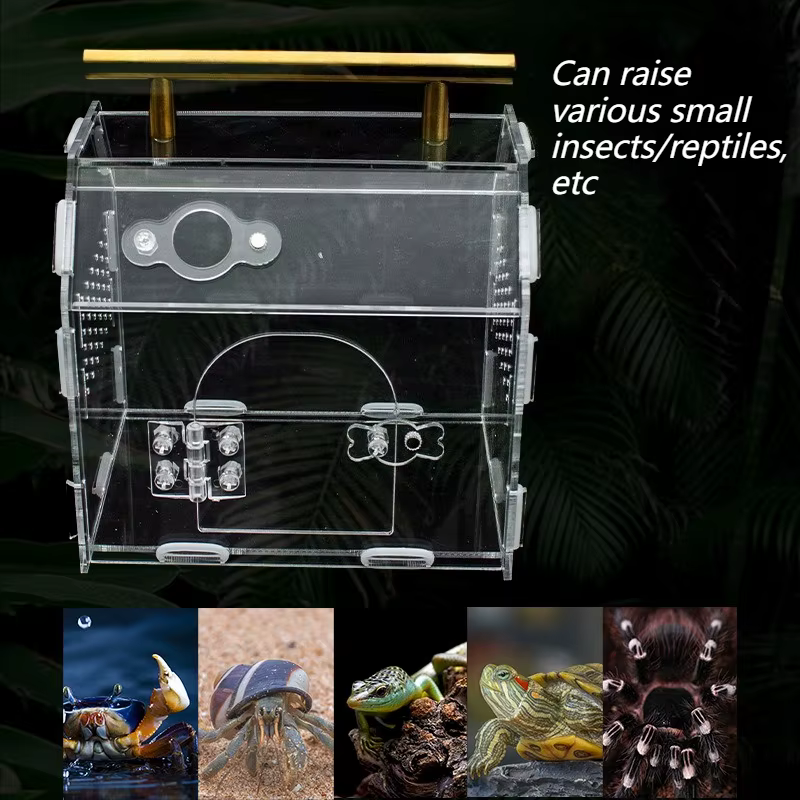Caja de Cría Portátil Acetato para Reptiles Pequeño Terrario para Tortugas, Escorpiones y Caracoles — imagen 3