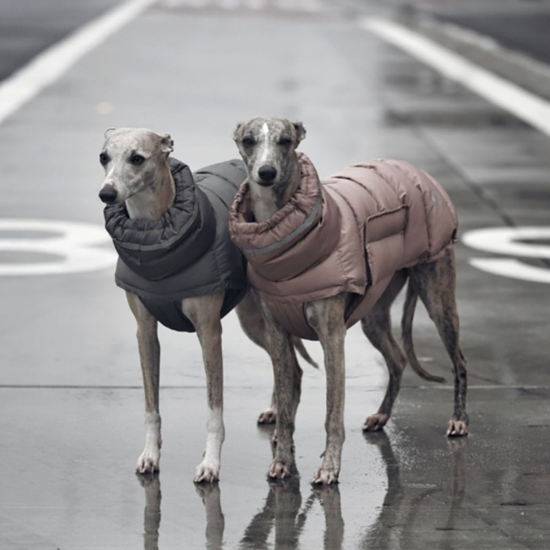 Dog clothing thickened warm waterproof windproof two leg coat pet vest cotton coat — image 4