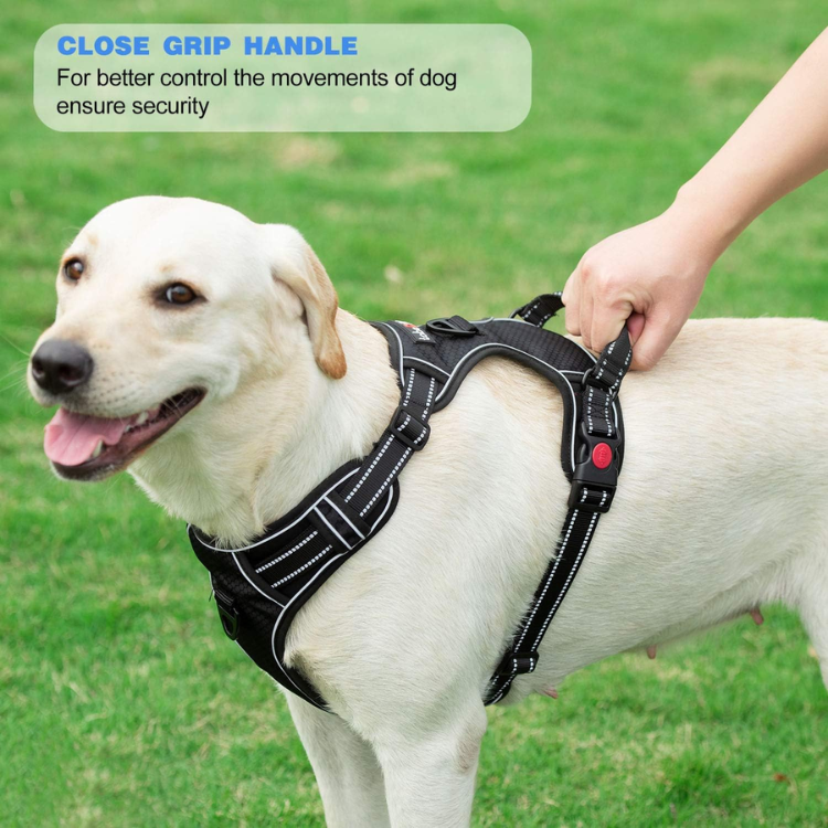 No Pull Dog Harness Adjustable Reflective Oxford Easy Control Medium Large Dog Harness With A Free Heavy Duty 5ft Dog Leash, Blue, M — image 4