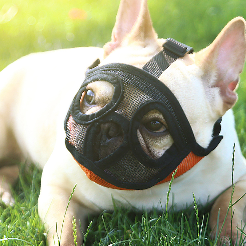 Hoopet Pet Small Dog French Bulldog Muzzle Dog Mouse Basket Breathable Muzzle For Dogs Leash Harness Supplies — image 2