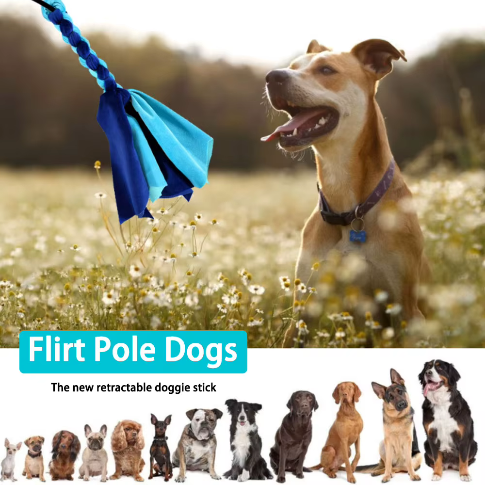 Dogs Flirt Lure Pole Stick Toys Pet Interactive Chasing Tail Teaser Wand Training Chewing Rope Cat Pet — image 5