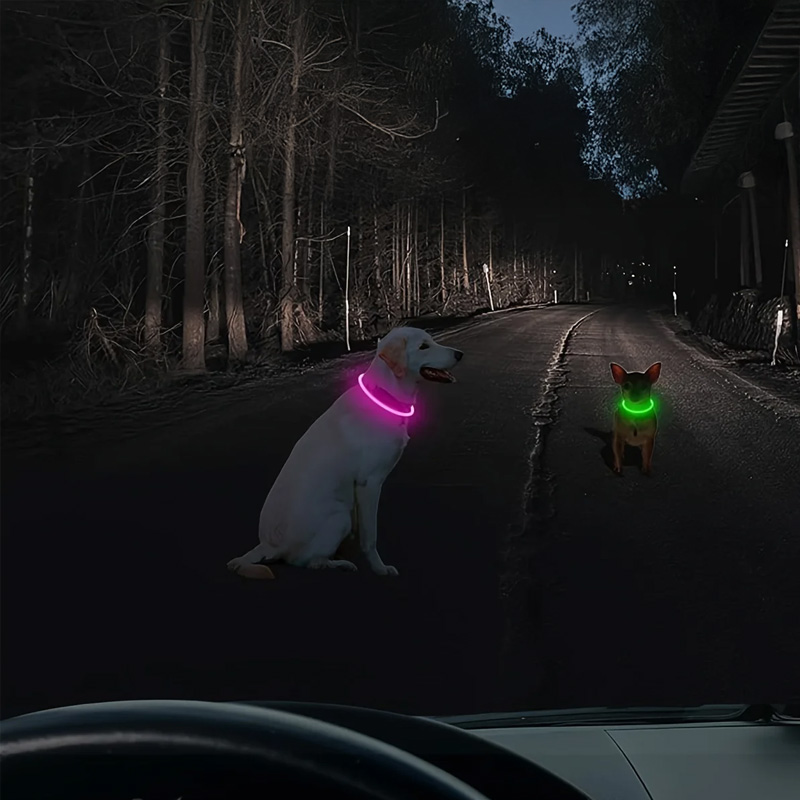 LED Fiber Optic Dog Collar - Multi-Color PVC, USB Rechargeable, Night Safety (S/M/L Sizes) — image 8