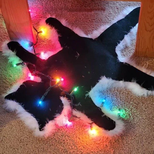 Christmas Fried Cat Aunt's Fried Fur Decoration Fur Decoration Carpet Light String Decoration — image 5