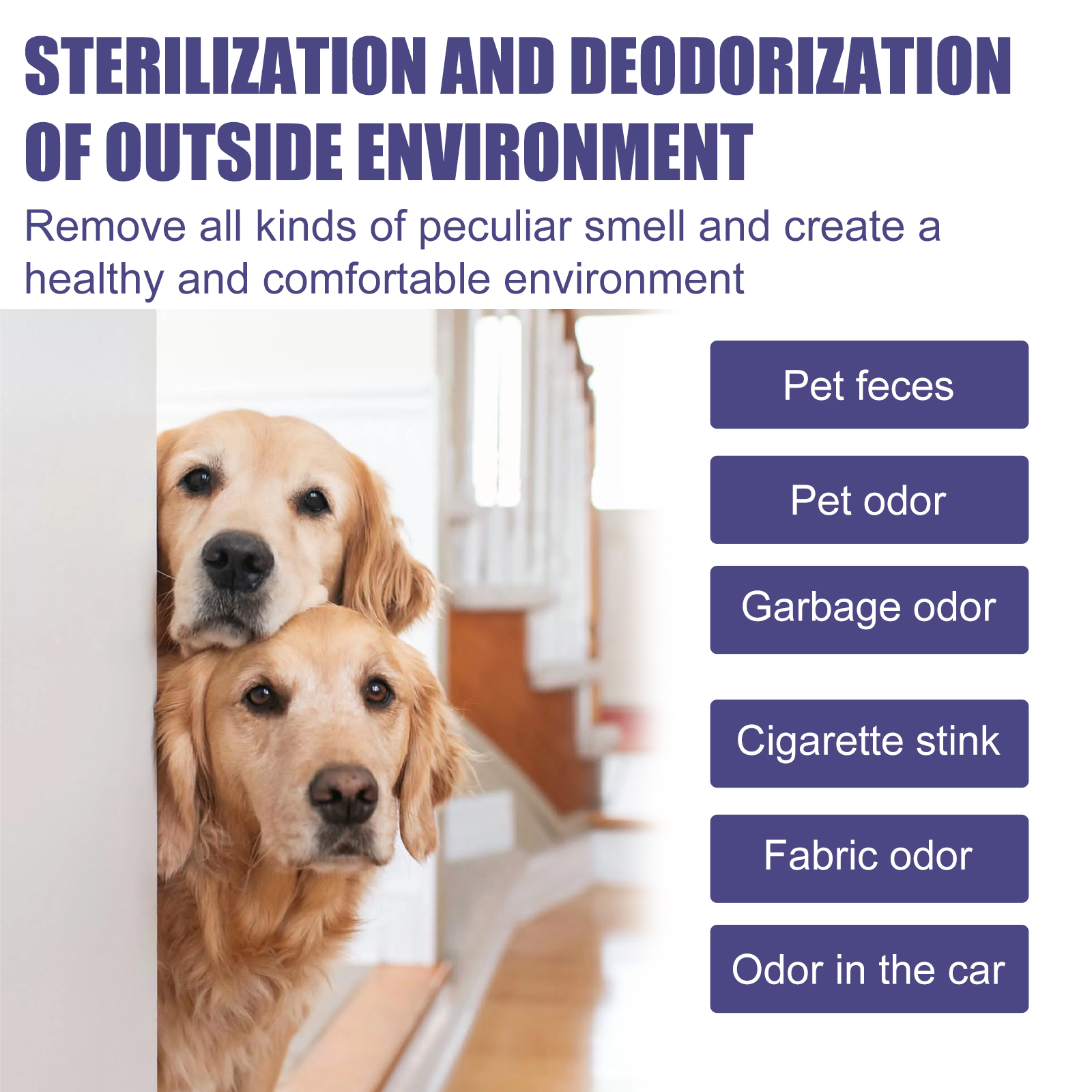 Spray de Odor Natural para Mascotas 60 ml con Extractos de Portulaca y Aloe, Eliminador de Olor Animal Sin Tóxicos, Fórmula Suave para Perros — imagen 4