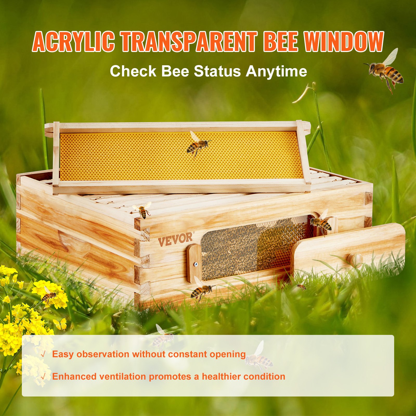 Bee Hive Medium Box Starter Kit, 100% Beeswax Coated Natural Cedar Wood, Langstroth Beehive Kit With 10 Frames And Foundations, Transparent Acrylic Bee Windows For Beginners And Pro Beekeepers — image 5
