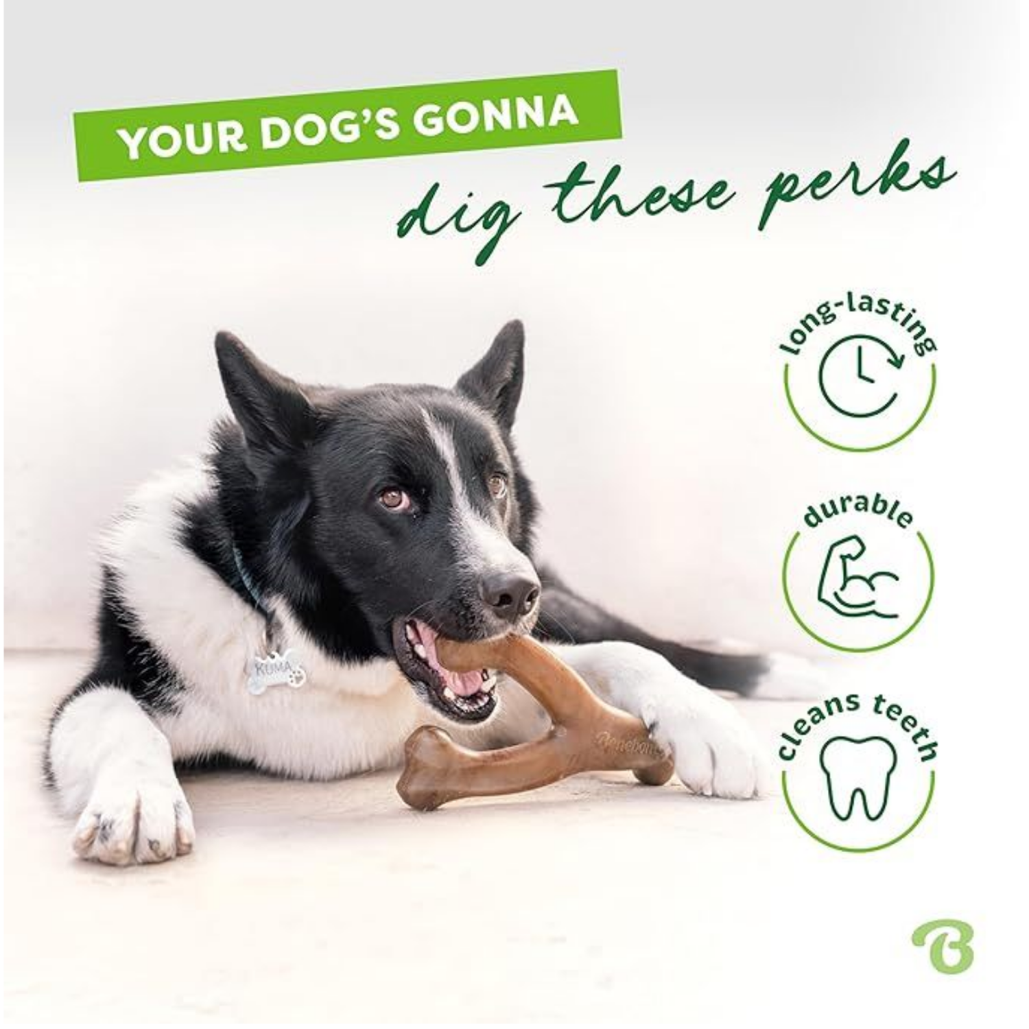 Wishbone Jugoso Juguete de Mordida para Perros Agresivos con Bacon Real, Medio — imagen 4