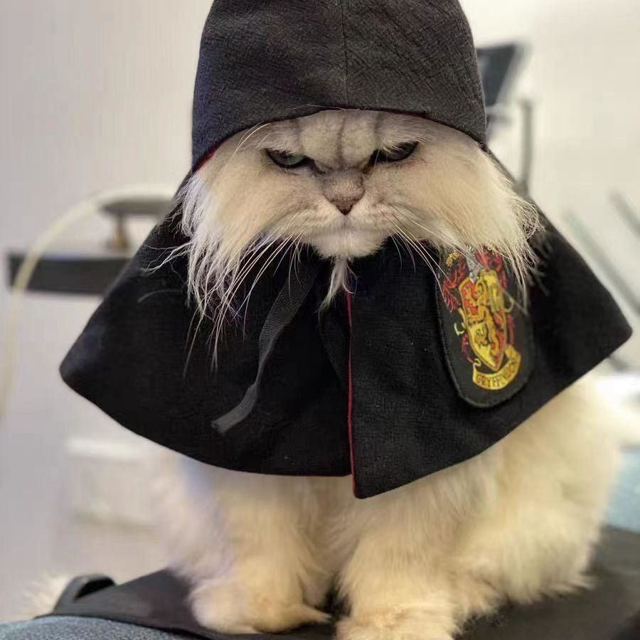 Disfraz de manto para mascotas, decoración de Halloween — imagen 6