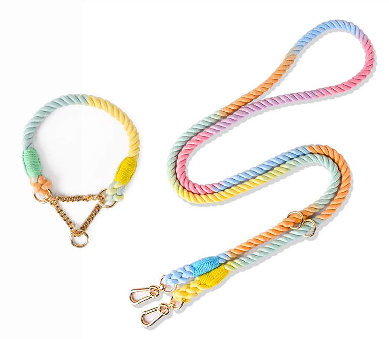 Braided Colorful Pet Dog Leash with P-Chain Collar for Medium and Large Dogs — image 1