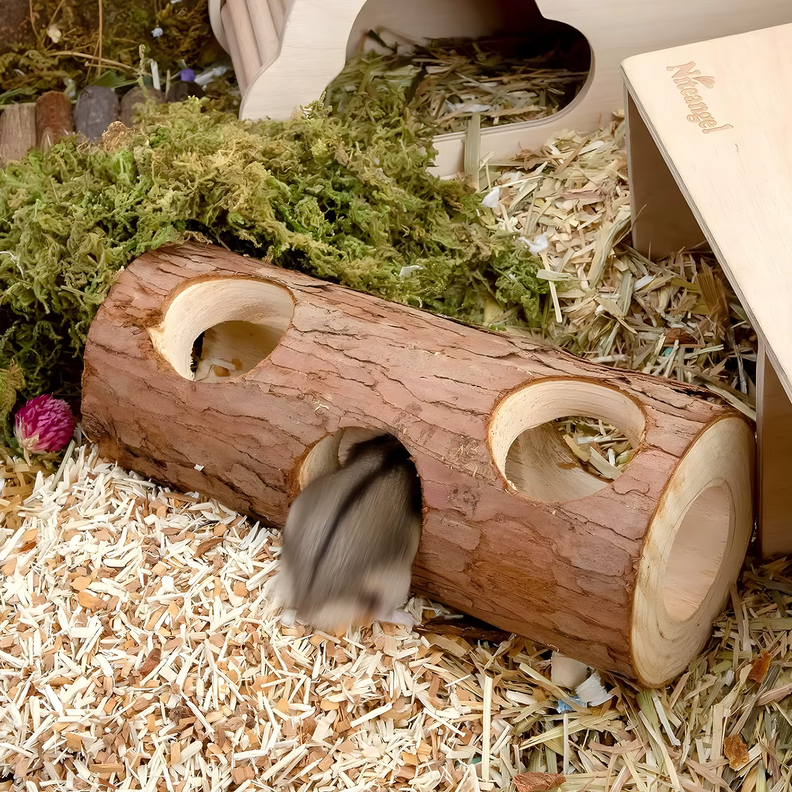 Túnel de Madera Natural para Ratones y Camarones: Bosque de Árbol Hollow — imagen 6