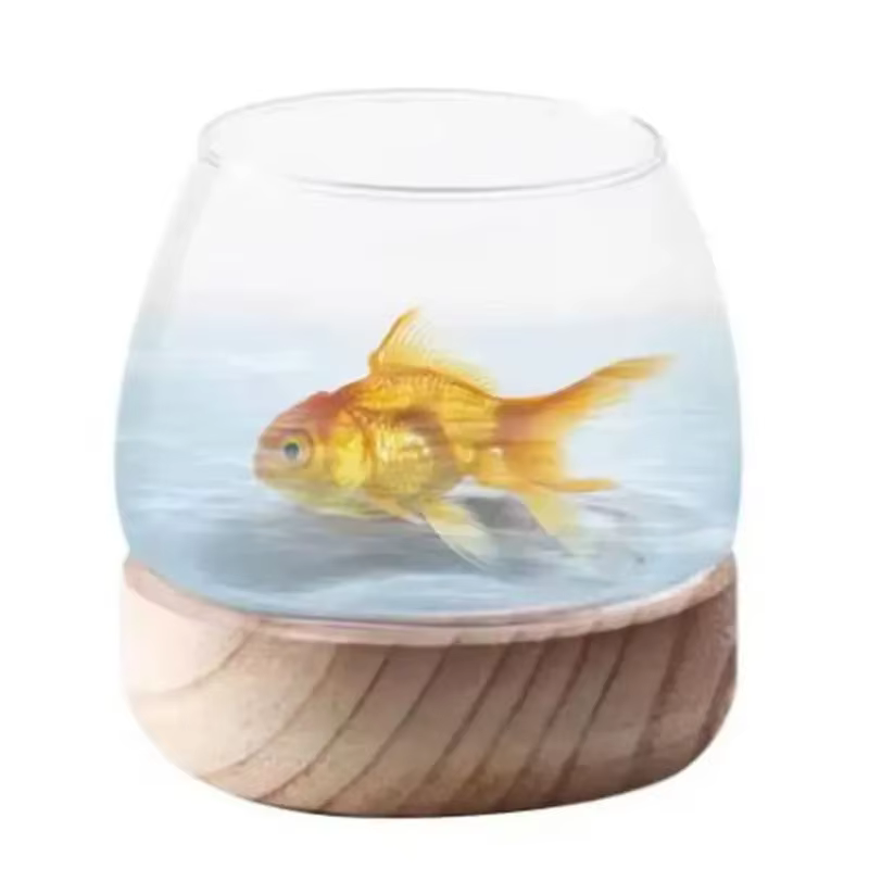 Tanque de Acuario Circular de Vidrio Transparente con Base de Madera — imagen 5