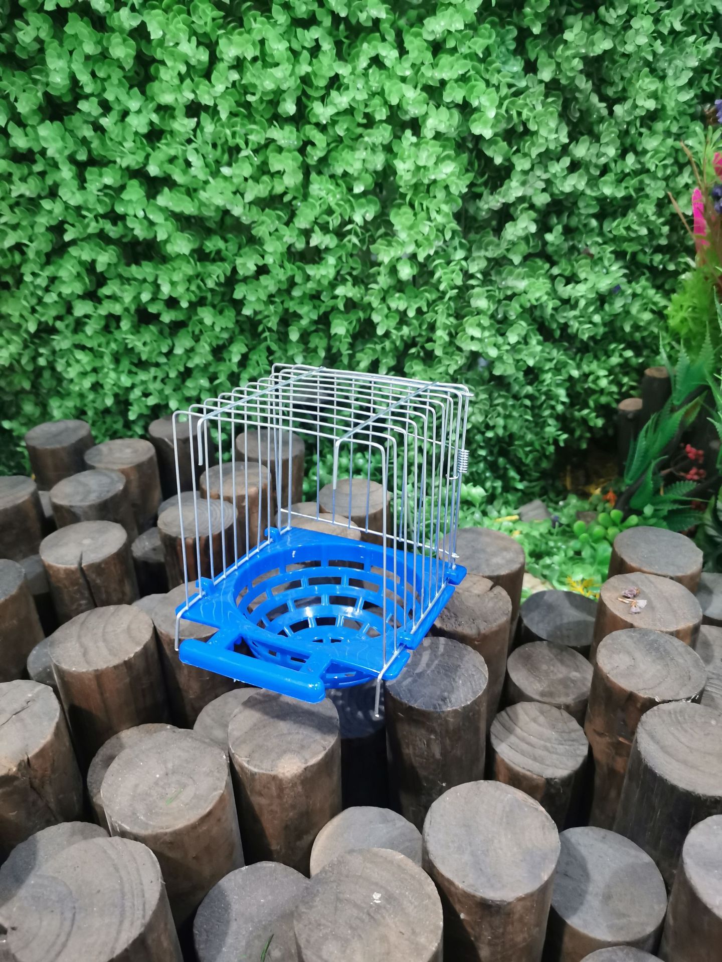 Caja de Cría para Pájaros Pequeños — imagen 6