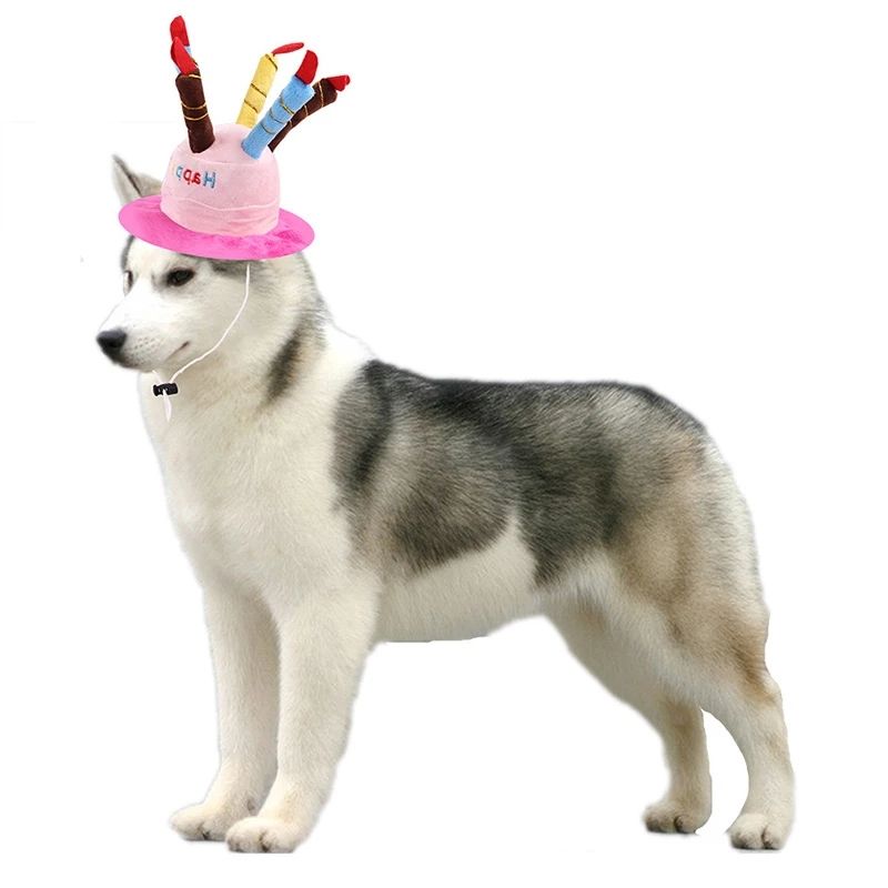 Pet Dog Birthday Hats Dog Headdress Cat Head Cover Cute Weird Cat Birthday Dress Up Faro Birthday Hat — image 3