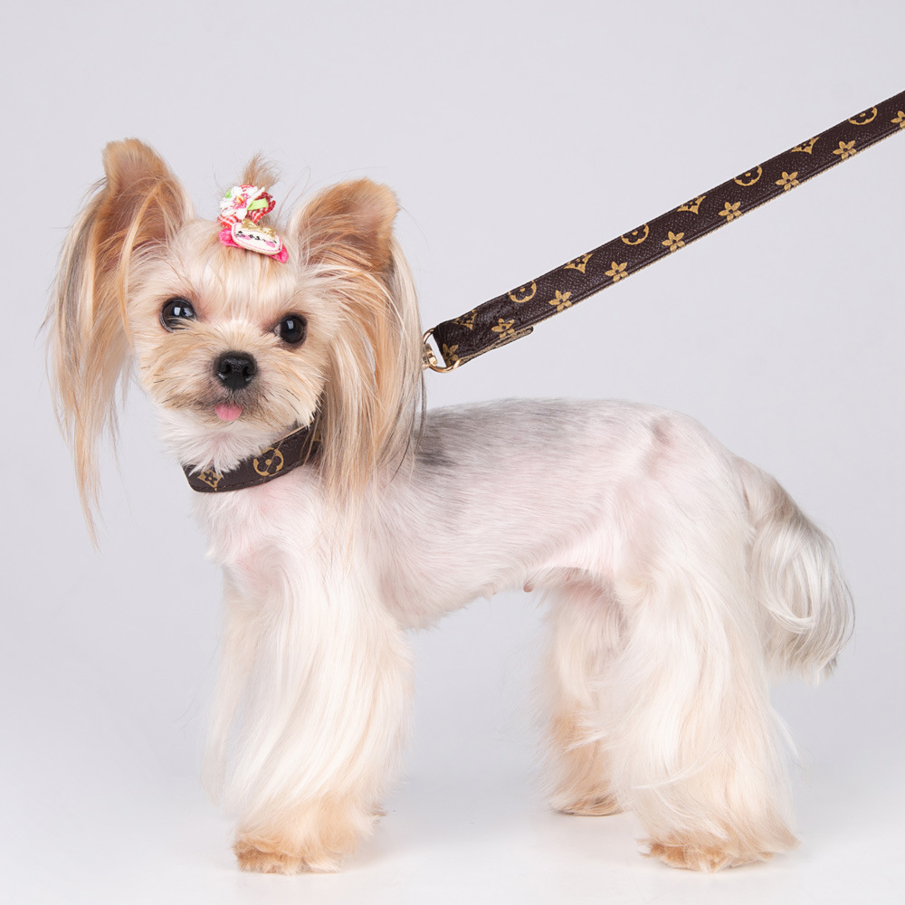 Old Flower Pet Collar PU Leather Dog Collar Traction Rope Cat Traction Collar Dog Walking Rope Anti-String Wear — image 3