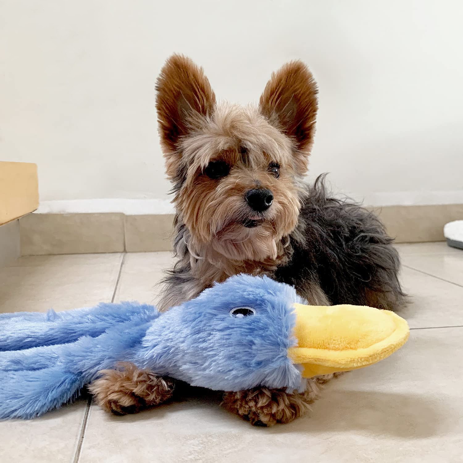 Pet Supplies Pet Filling Dog Toys Cute Unfilled Duck Chewing Plush Sound Toy Duck — image 3