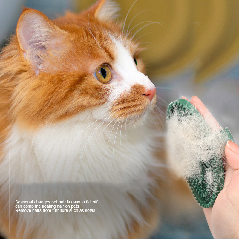 Pet Bath Brush Gloves Dog Cleaning Supplies Bath Brush Cat Bath Massage Brush Hair Removal Pet Supplies — image 2