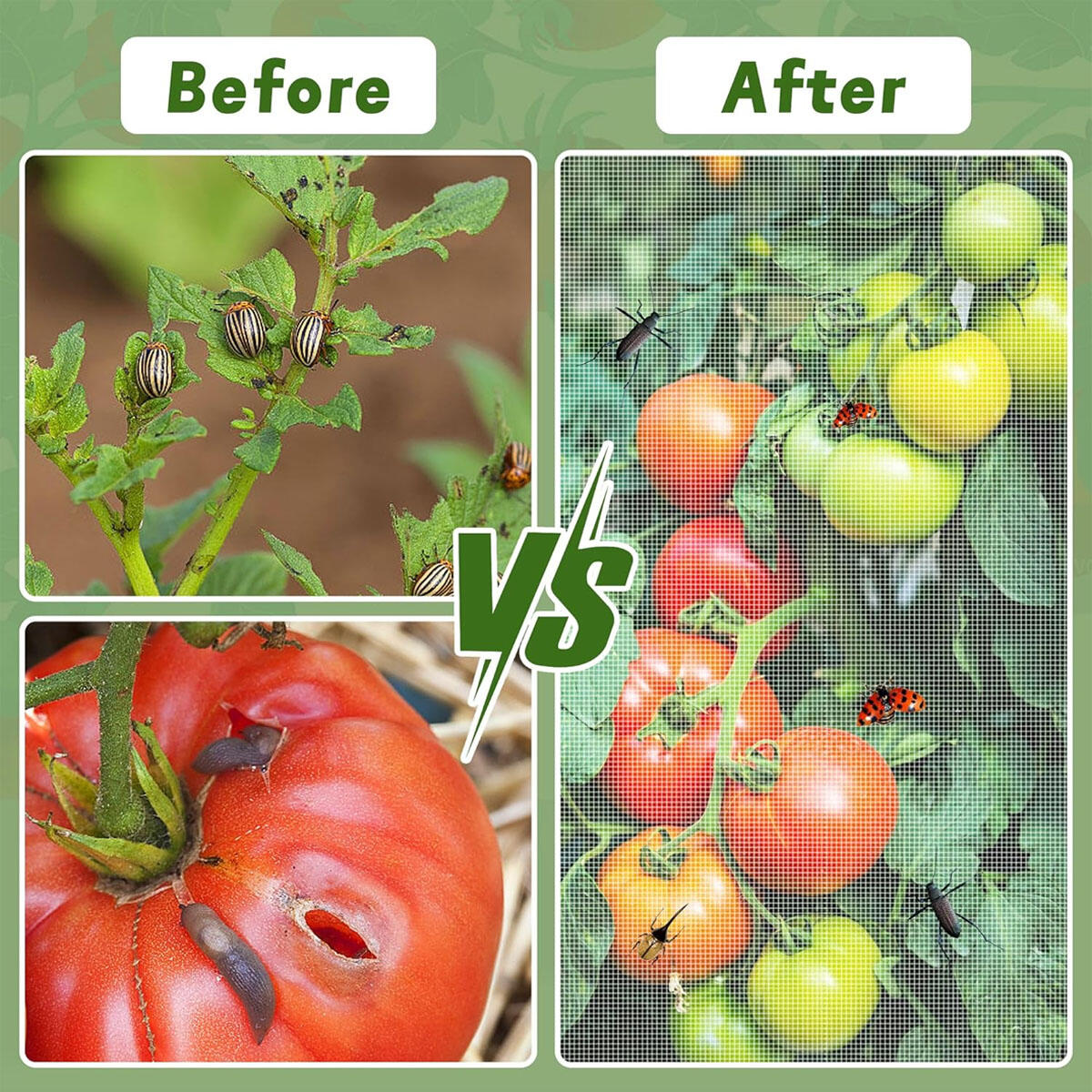 Caja para Tomates Kit Cuadrado Redondo Cubierta de Pájaros Jardín con Cierre y Cordón — imagen 2