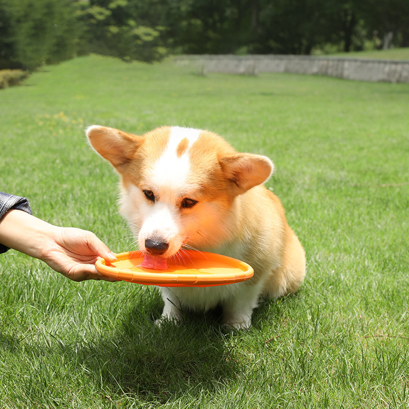 New Dog Frisbee Pet Toys Multi Plate Dog Bite resistant and Floating Training Outdoor Pet Products — image 2
