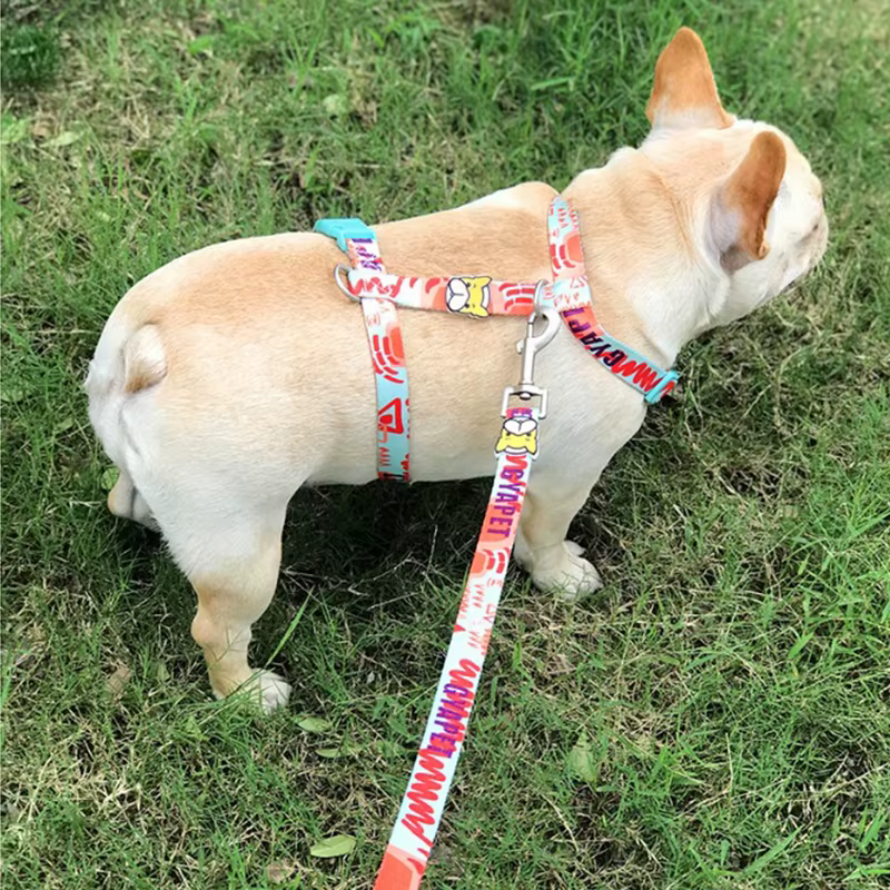 Dog Harness And Leash Set No Pull Fashion Puppy Waliking Leash Rope French Bulldog Chihuahua Lead Leash For Small Dogs Yorkies — image 6