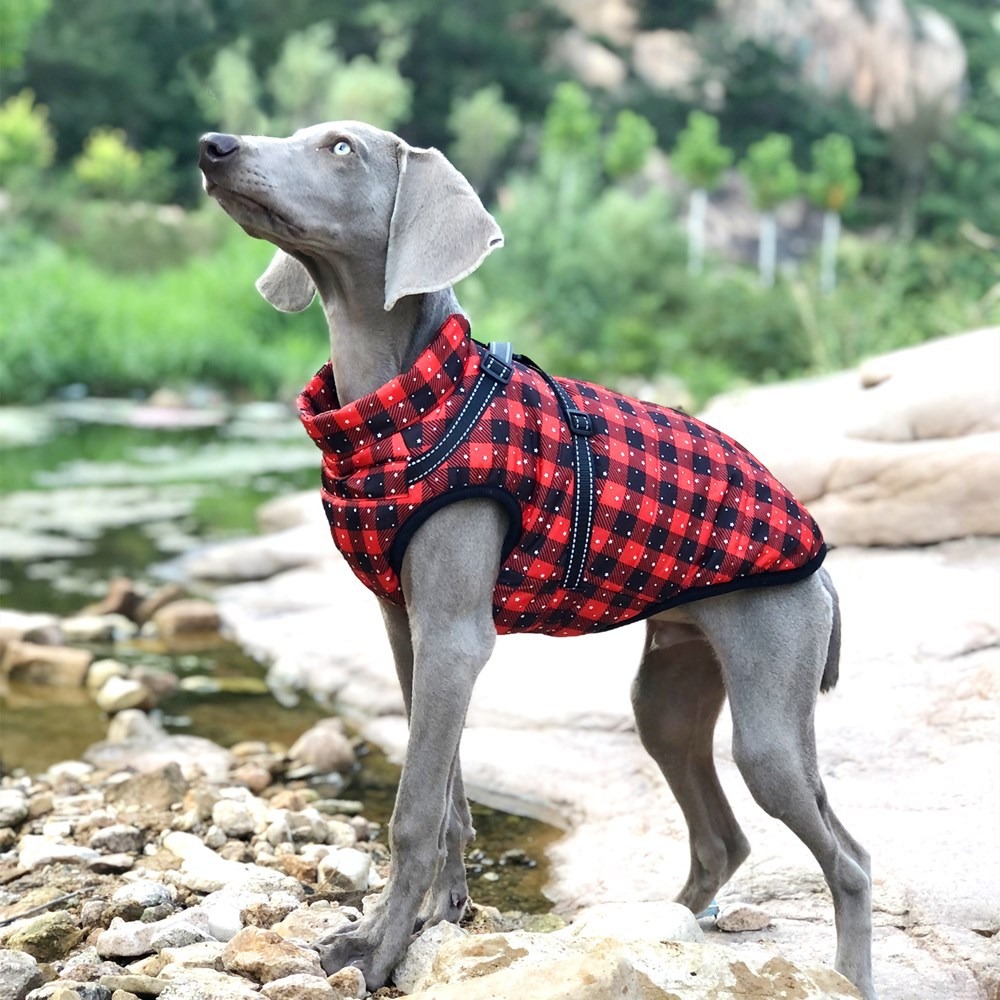 Autumn And Winter New Pet Clothes Christmas Big Dog Clothes Thickened Warm Dog Cotton Clothes Pet Clothing — image 8
