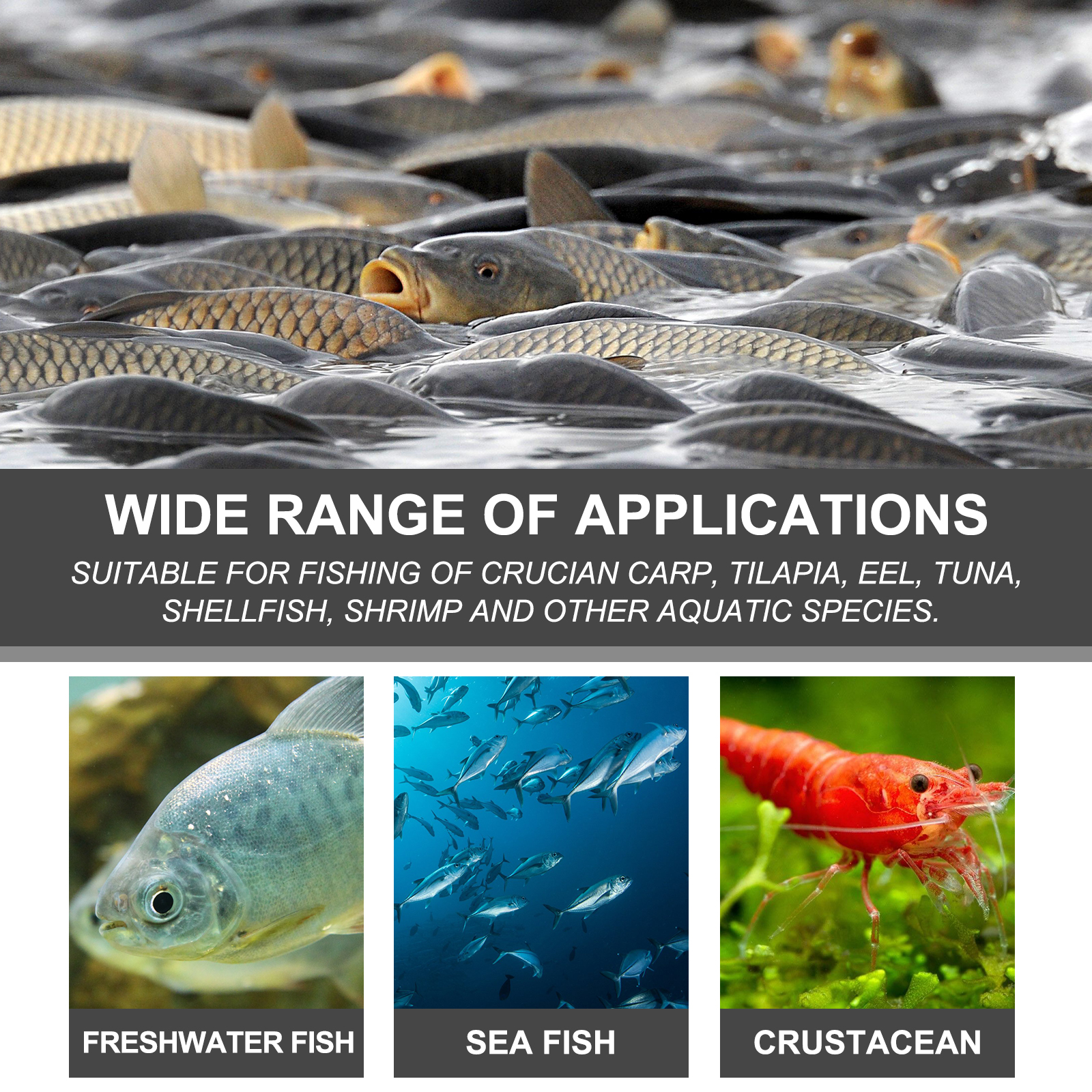 Bait Attractant, Reservoir Bait Fishing Bait Fish Portable Fish Primer — image 5