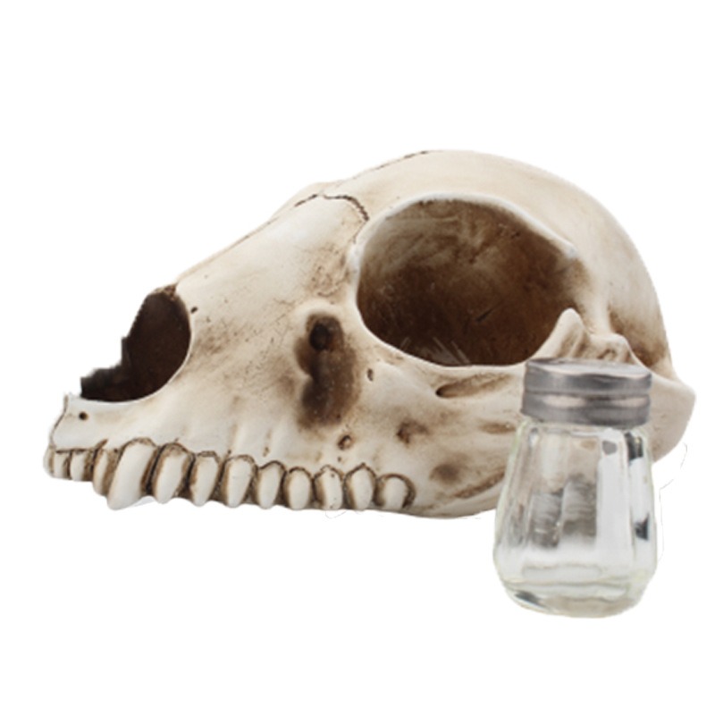 Cat Bone Base Seasoning Bottle Set Household Combination Glass Seasoning Jar Kitchen Storage Bottle — image 3