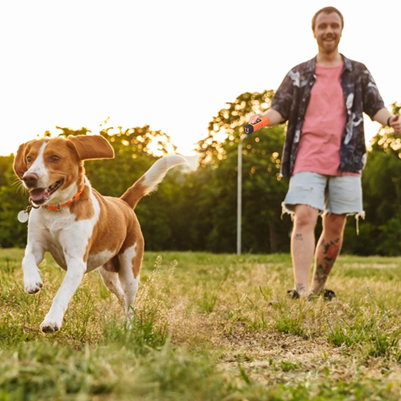 2025 Dog Repellent: Ultrasonic dog training device, rechargeable dog bark deterrent with LED flashlight — image 5